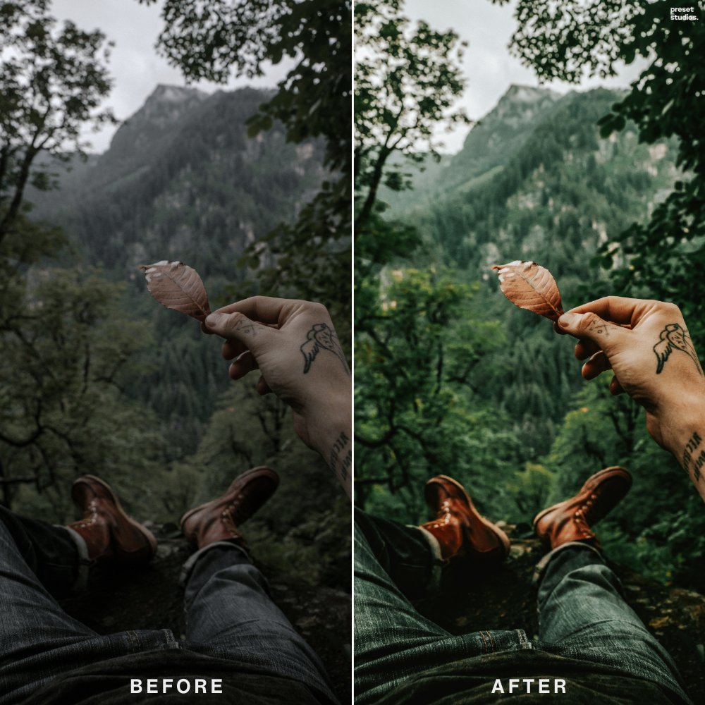FOREST JOURNEY | Lightroom Presets - Preset Studios