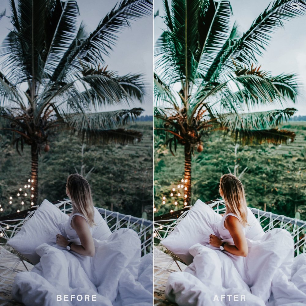 FOREST JOURNEY | Lightroom Presets - Preset Studios