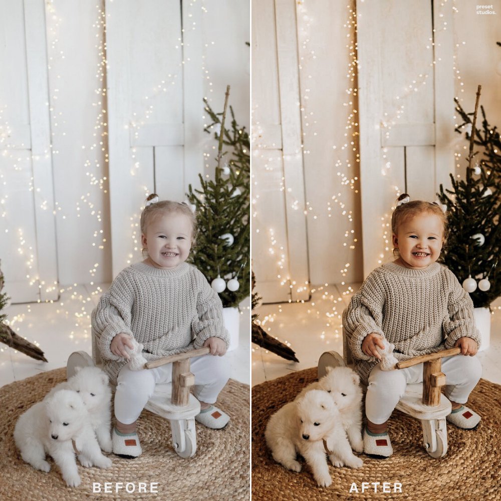 RUSTIC CHRISTMAS | Lightroom Presets - Preset Studios