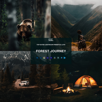 FOREST JOURNEY | Lightroom Presets