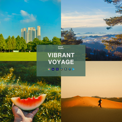 VIBRANT VOYAGE | Video LUTs