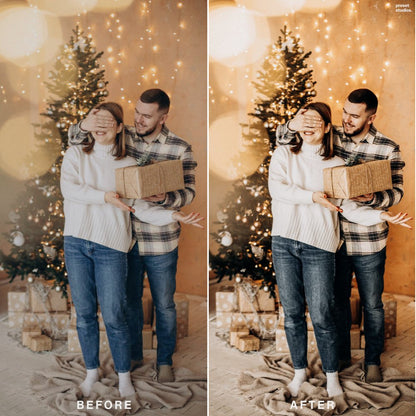 RUSTIC CHRISTMAS | Lightroom Presets - Preset Studios