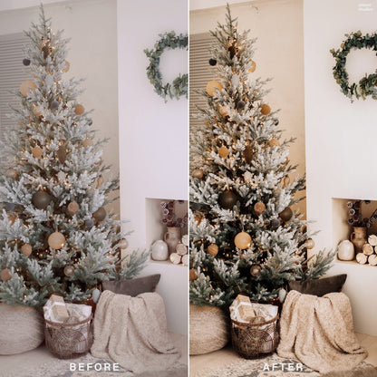 RUSTIC CHRISTMAS | Lightroom Presets - Preset Studios